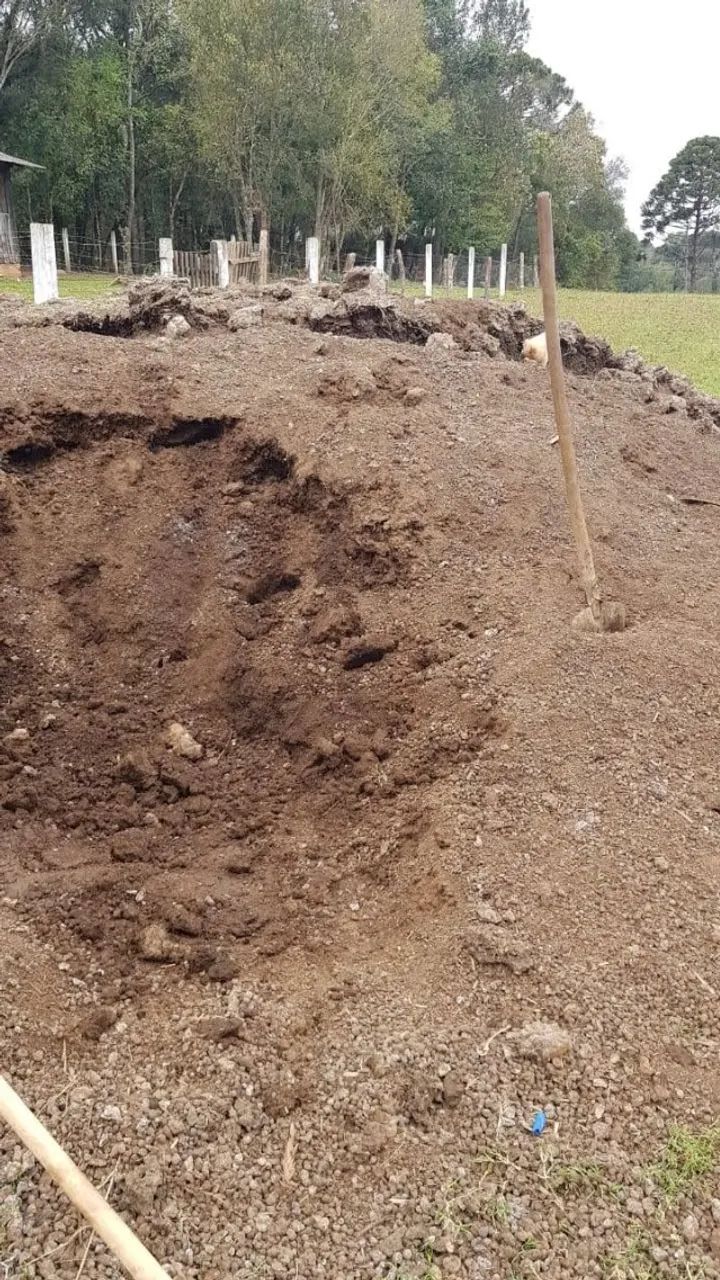 ESTERCO DE CARNEIRO ADUBO ORGÂNICO