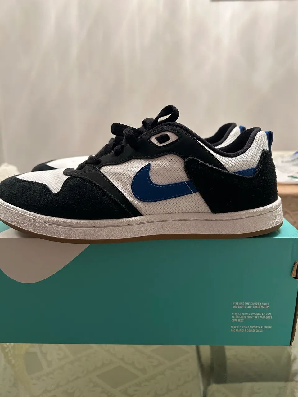 Tênis Original NIKE SB ALLEYOOP - Calçados - Reduto, Belém