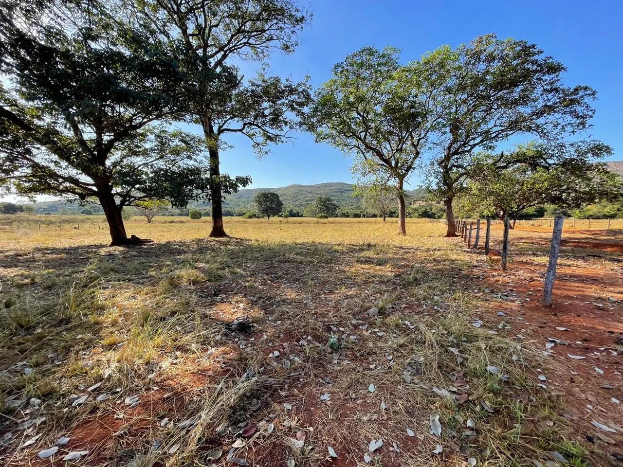 Fazenda disponível para venda  - Foto 2