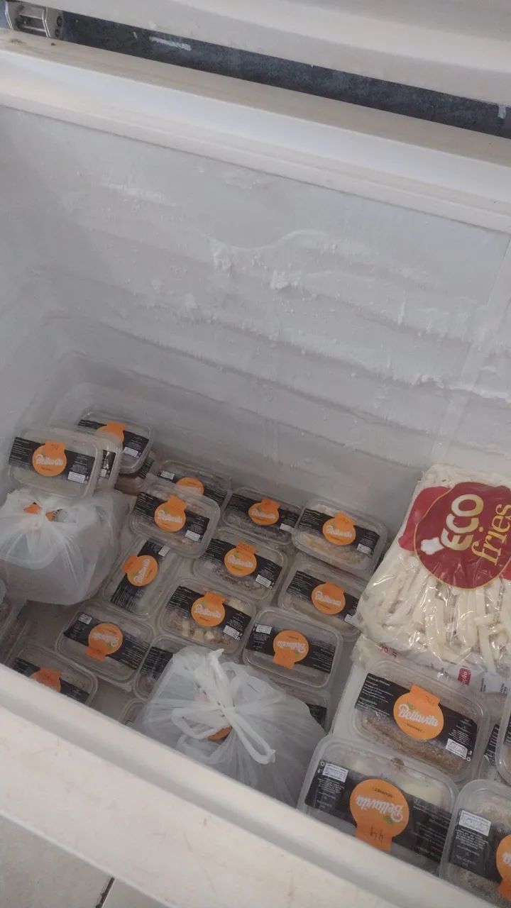 Aluguel de freezer e caixa Térmica 360lts  - Foto 2