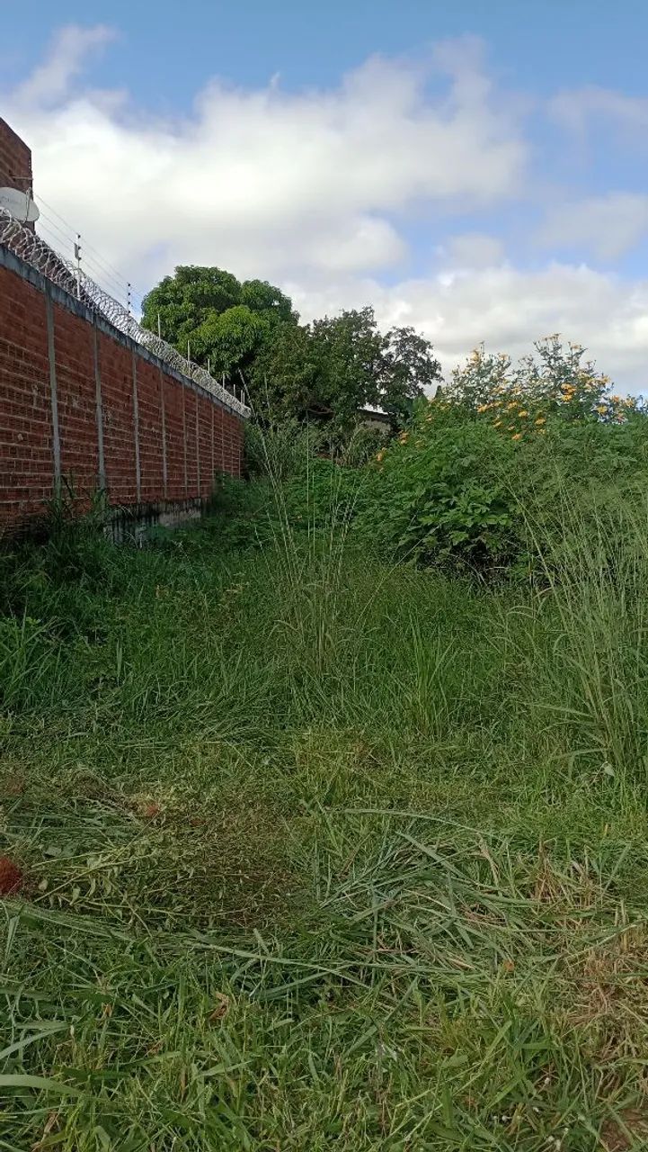 Serviço de capinagem e roçagem  - Foto 3