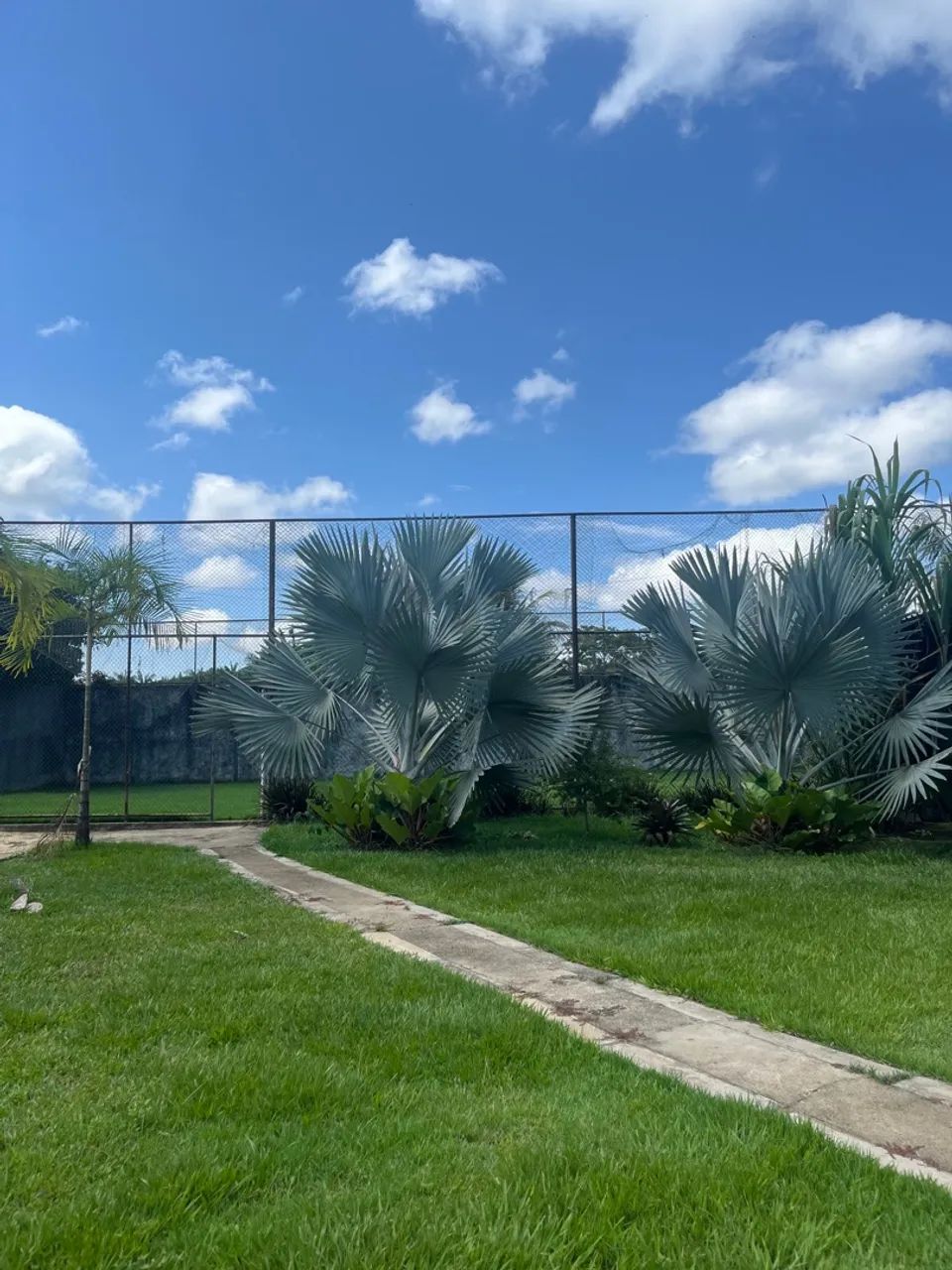 Chácara no Km 7 estrada Manoel Urbano  - Foto 3