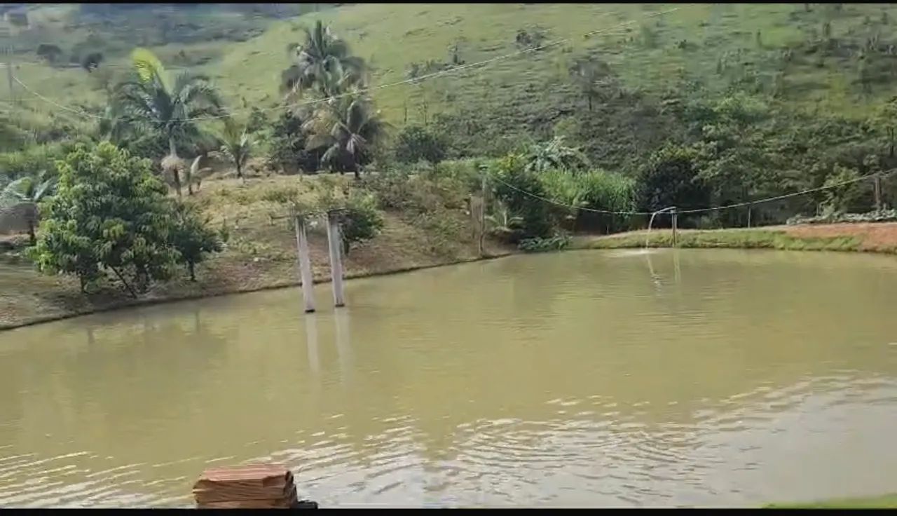 Fazenda com 3 lagoas, 8 nascentes de água, casa e área verde - Foto 5