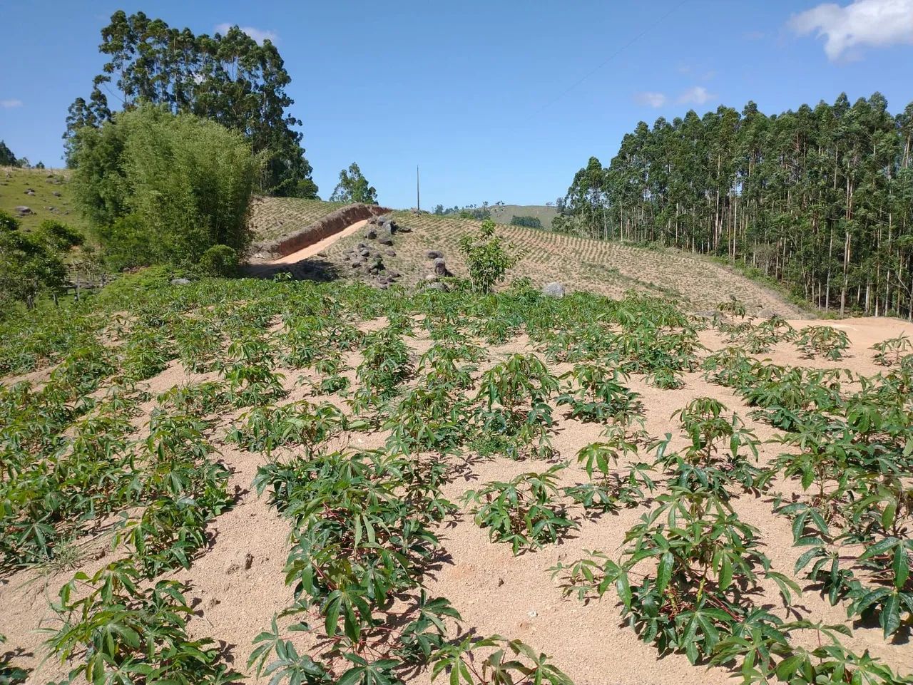 Terreno à venda em Fazenda rio das garças - Foto 4