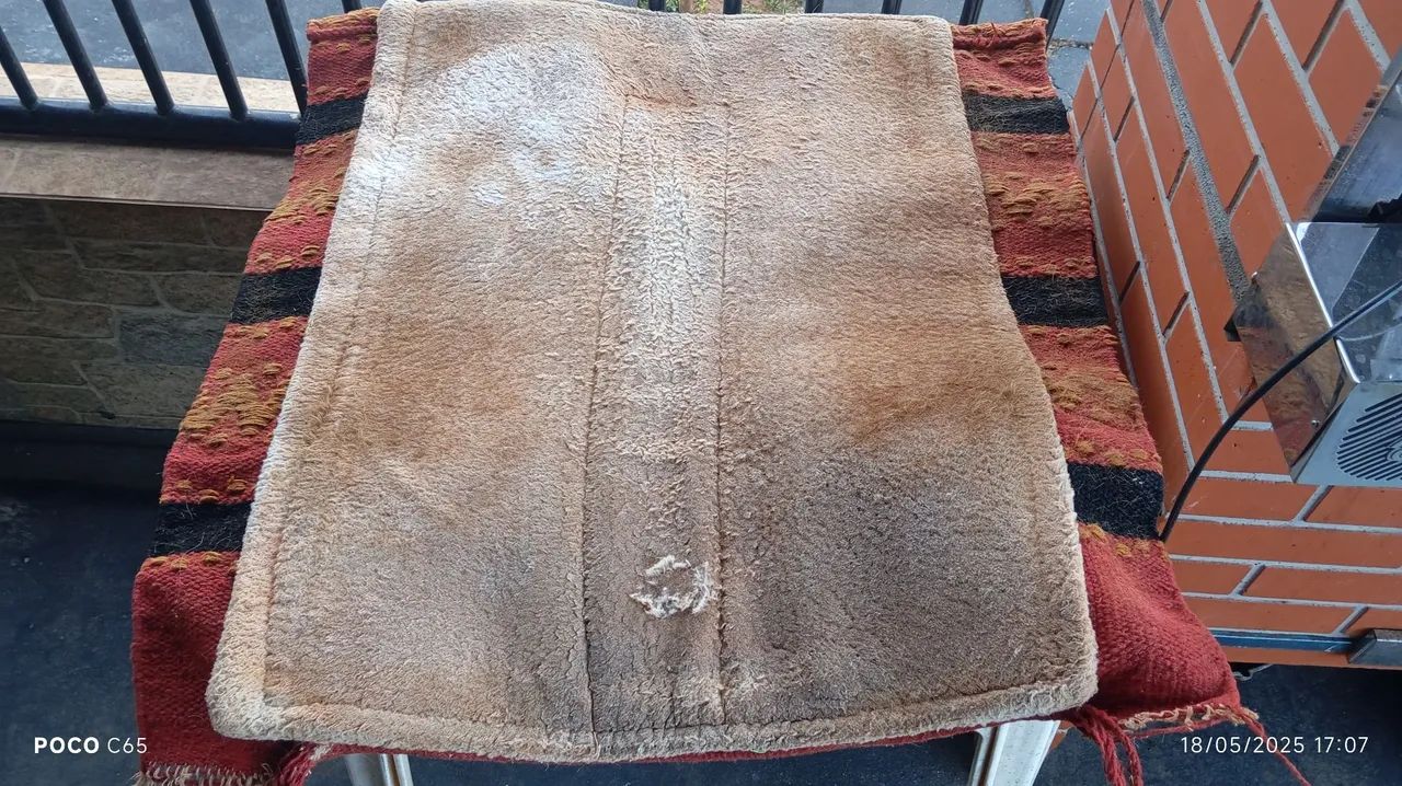 Manta sela  - Foto 3