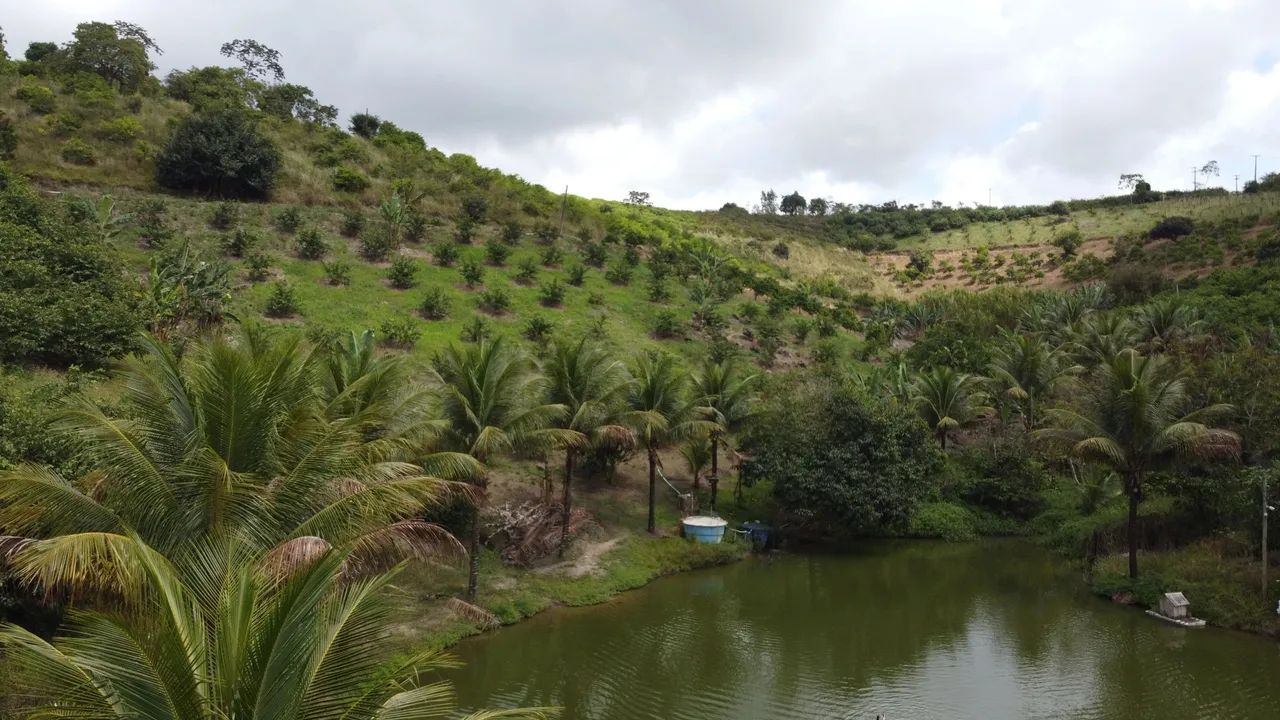 Propriedade rural à venda - 5 km de Chã Grande  PE. - Foto 3