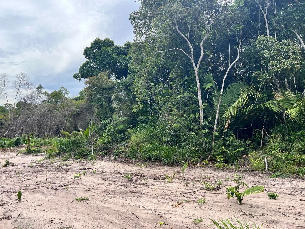 Terreno 20x30 na comunidade São Pedro  - Foto 2