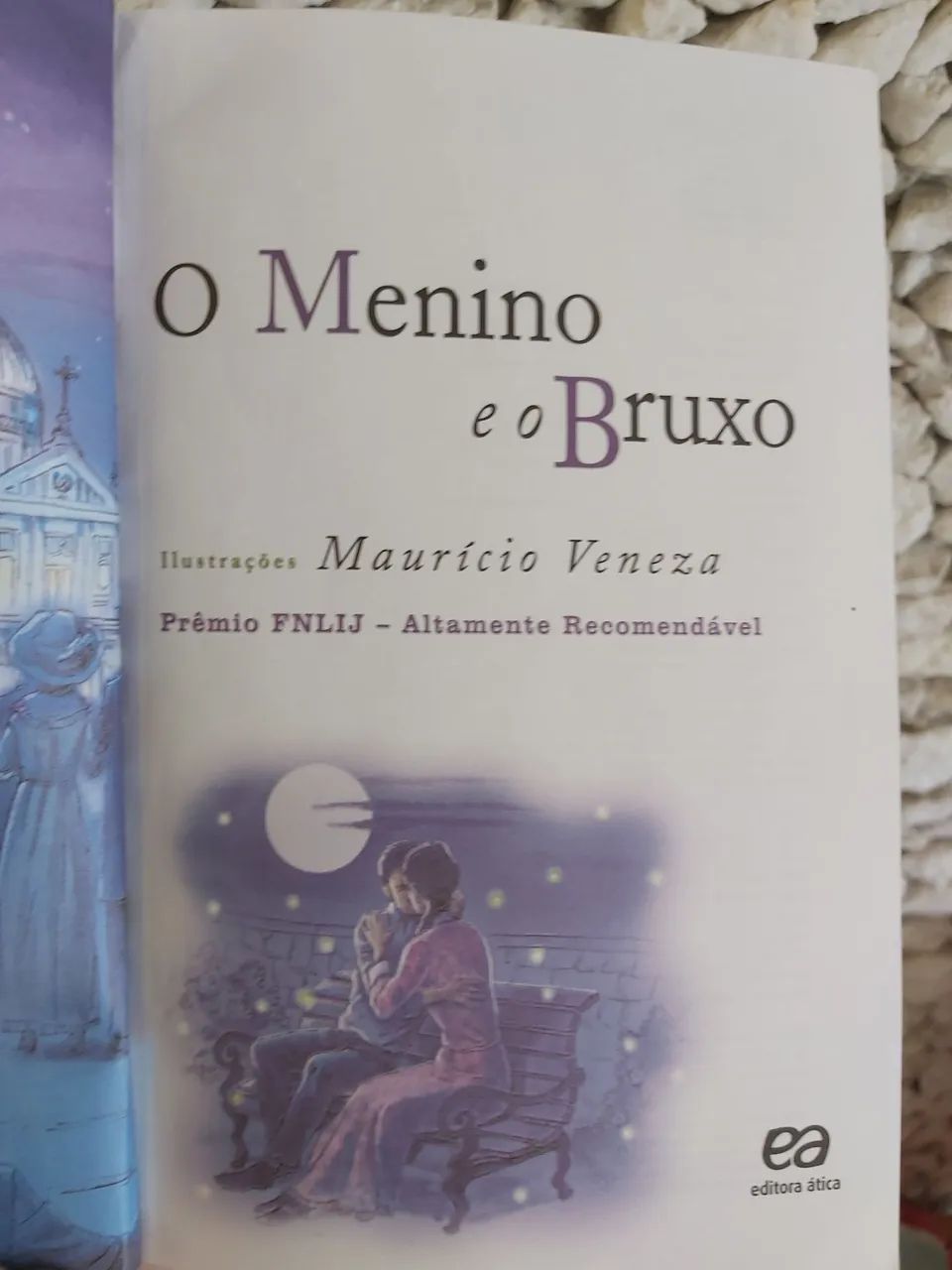 O Menino Ruxo e o Bruxo - Moacyr Scliar - Foto 4