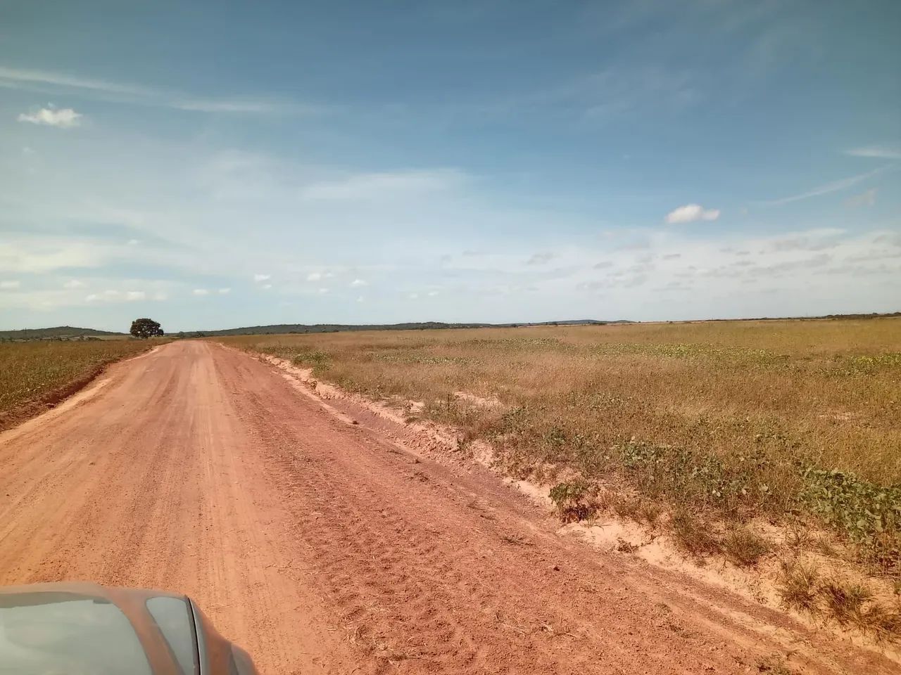Fazenda de arrendamento 710 hec em Paranatinga MT. - Foto 5