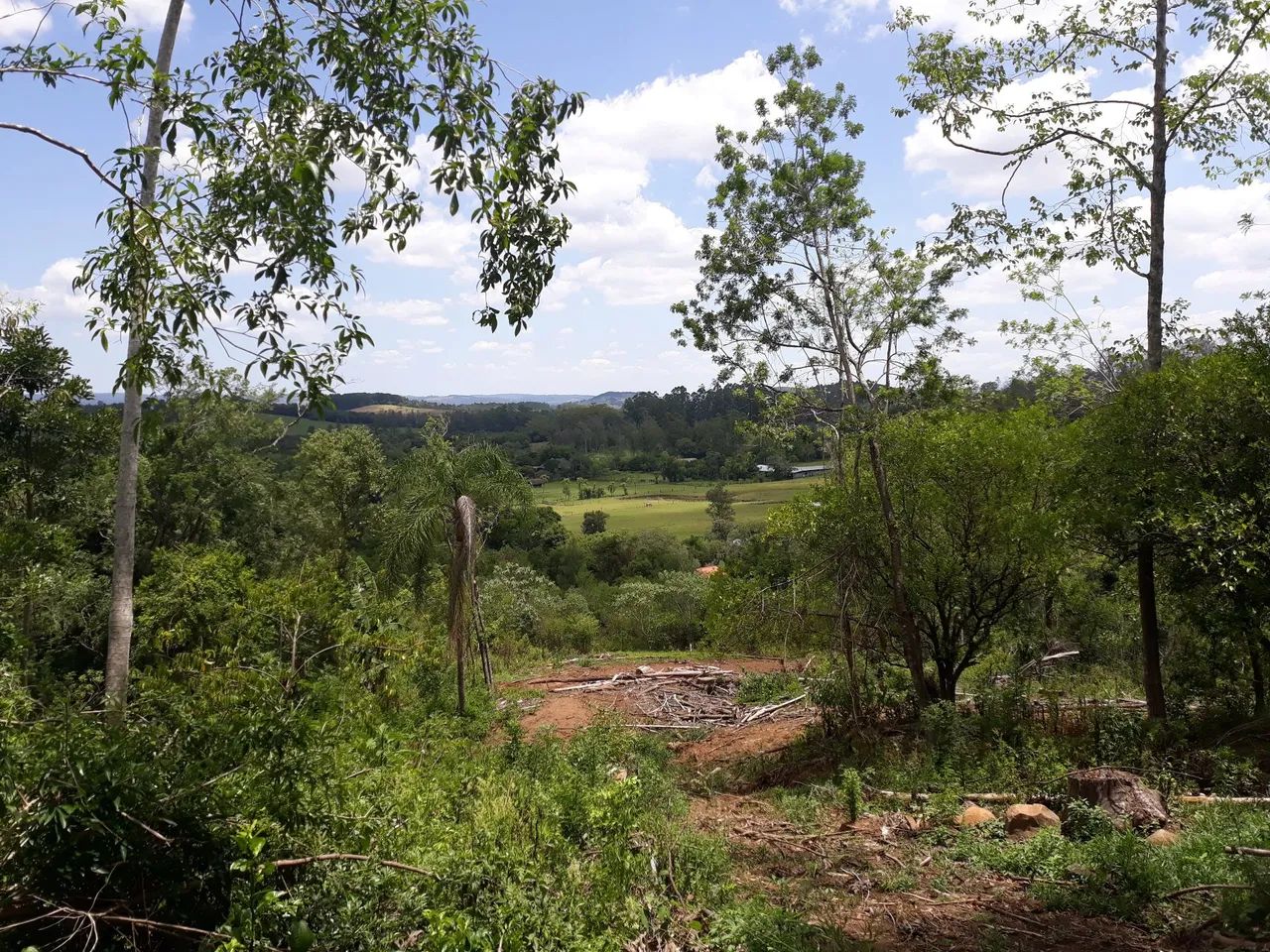 Mini sítios em localização privilegiada: acesso fácil a 4km de Taquara e 7km de Igrejinha  - Foto 3