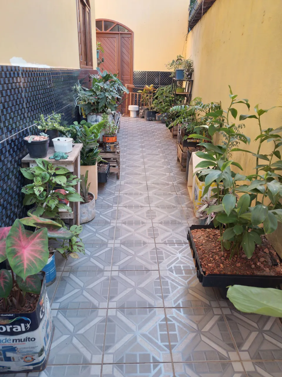 Vendo 2 casas na praia