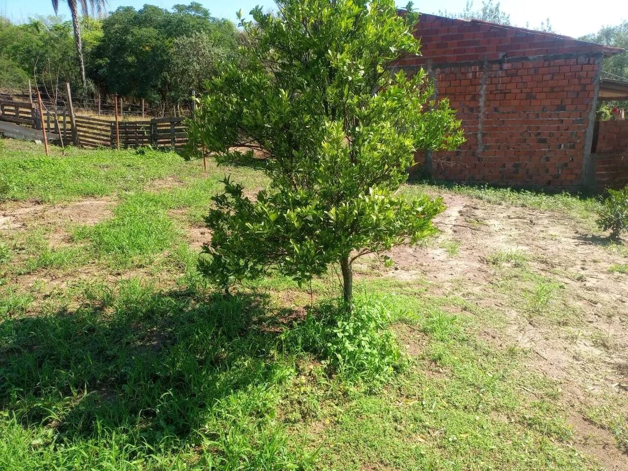 Sítio à venda, 3 quartos, Bairro dos Pires - Limeira/SP - Foto 2