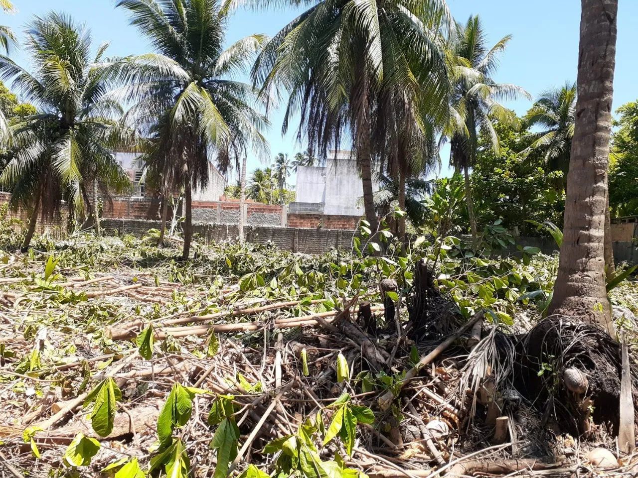 Venda - Imóvel com área total medindo 3.600m² aproximadamente, ao lado da Igreja de Santo  - Foto 5