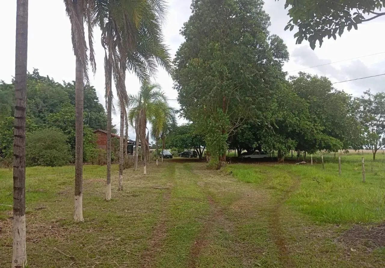 Chácara à Venda  12 Hectares | Sidrolândia - MS - Foto 3