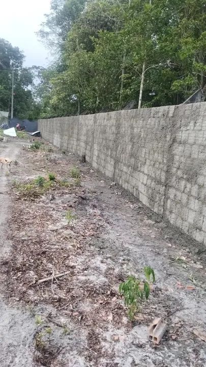 Alugo terreno de 50m x 100m, Rua asfaltada no Tarumã rua do Crematório - Foto 2