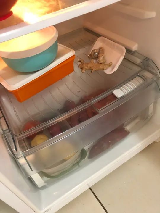 Geladeira Duplex Branca - Foto 5