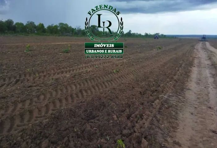 Fazenda 1.733 Hectares, Área para Lavoura Tocantins - Foto 5