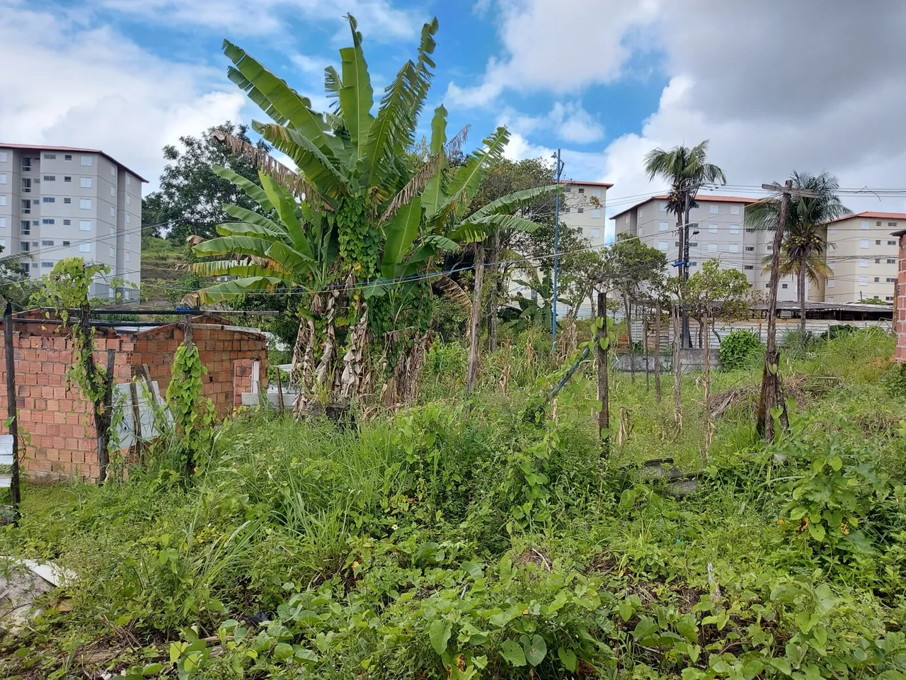 Terreno 8x20