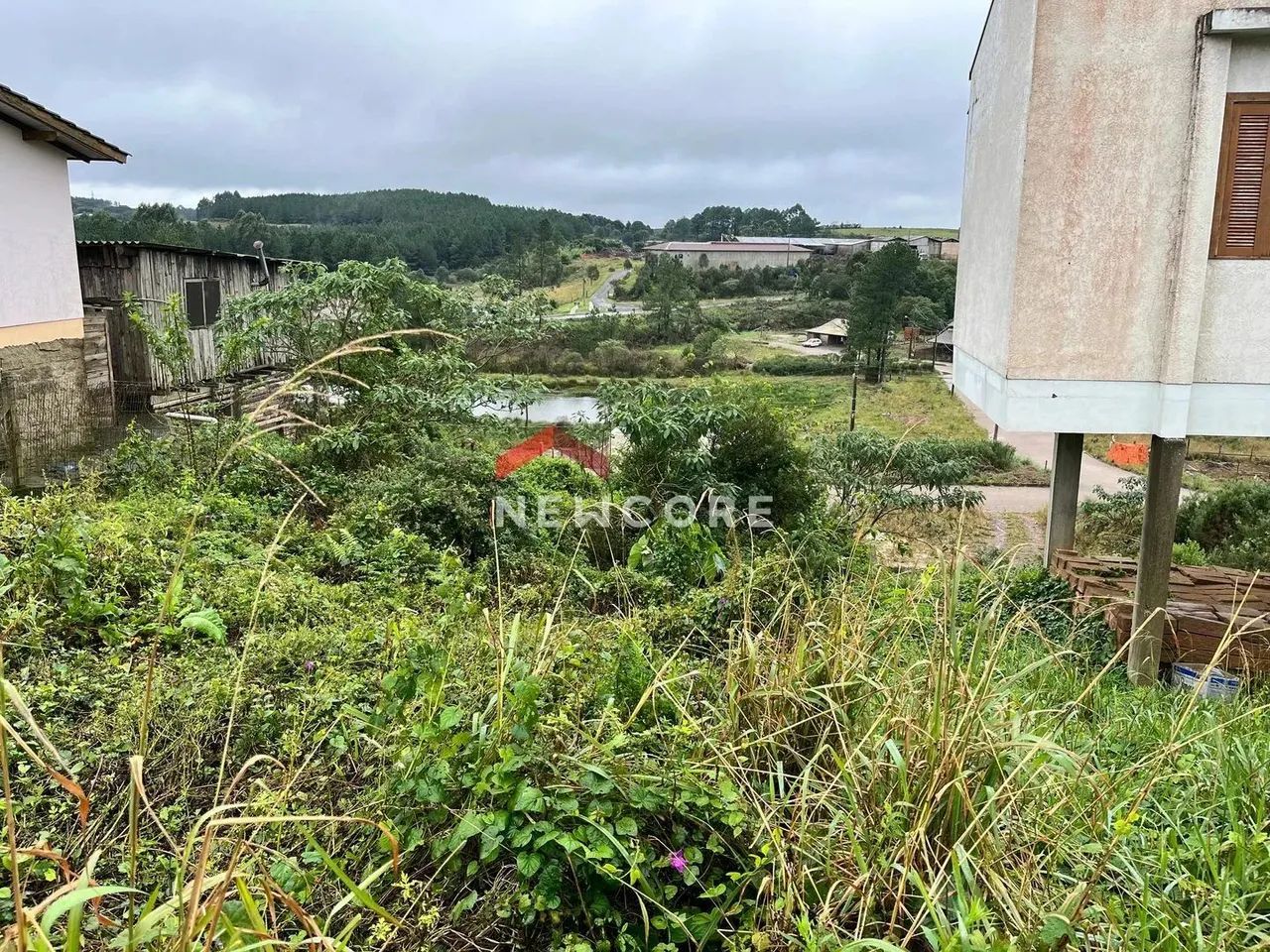 Lote em Rua Gilberto de Zorzi - São Miguel - São Francisco de Paula/RS - Foto 3