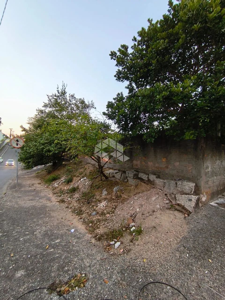 Terreno à Venda no Bairro Canto - Florianópolis/SC - Foto 2
