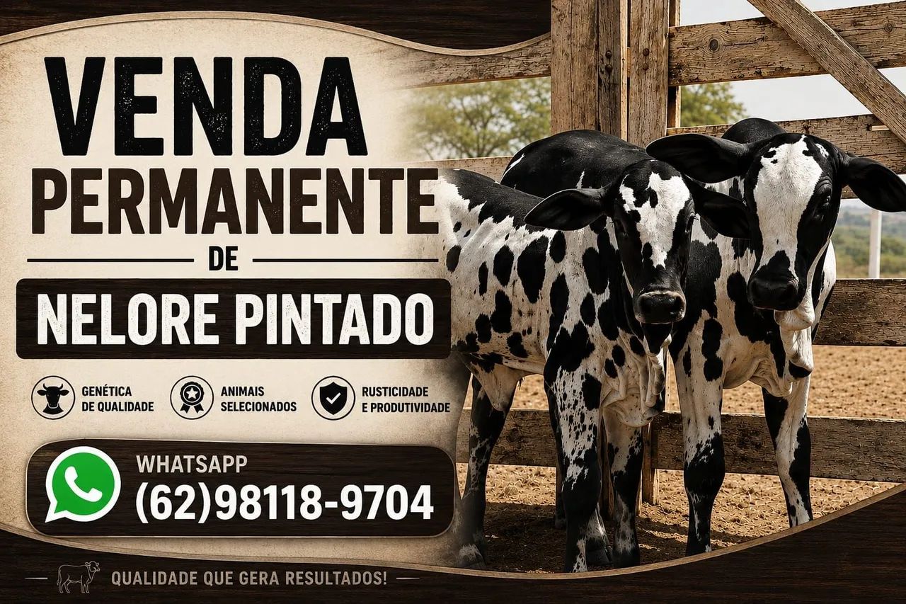 Nelore pintado 