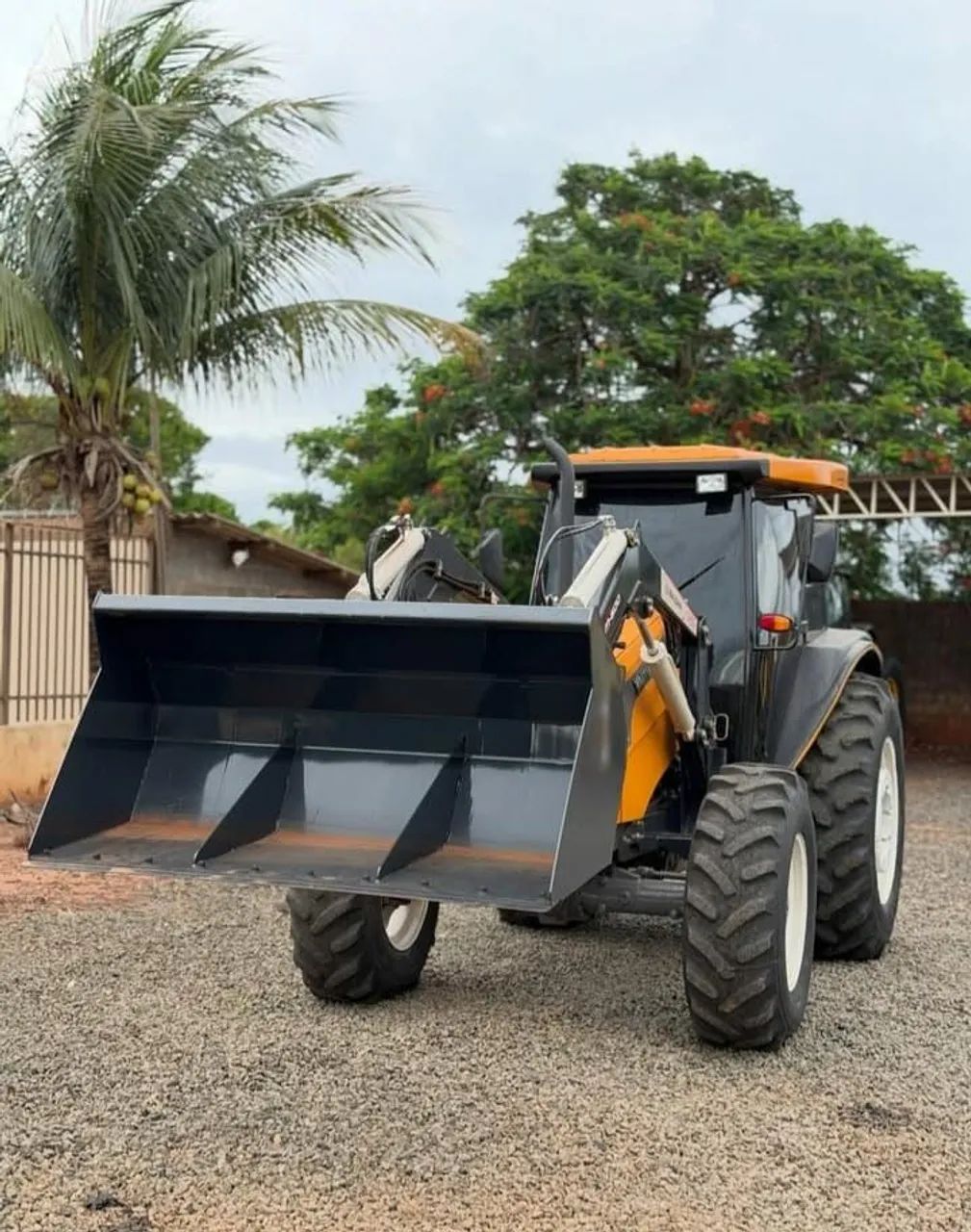 O companheiro fiel da lavoura - Foto 13