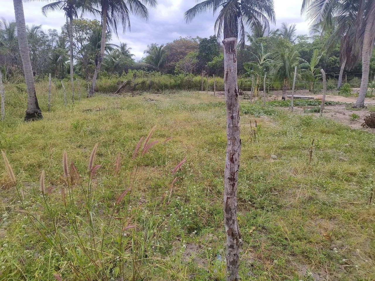 Vendo ou troco esse terreno  - Foto 2