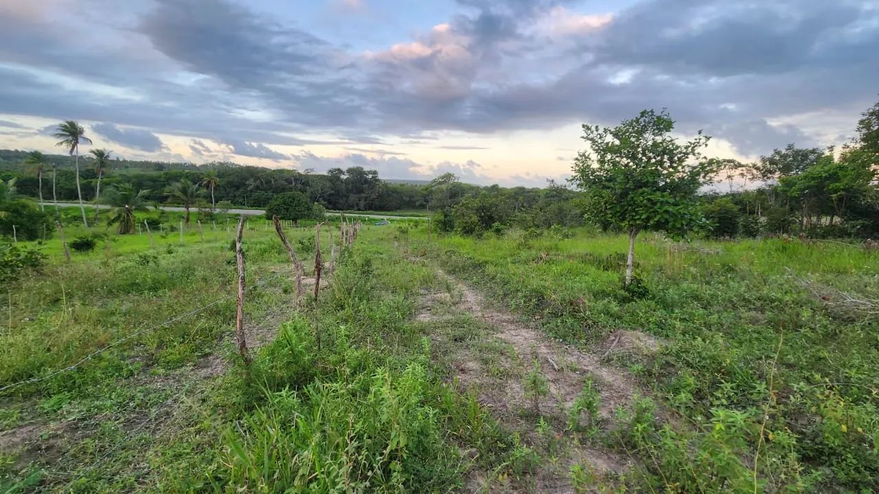 Vendo terrenos próximos a santo Amaro - Foto 4