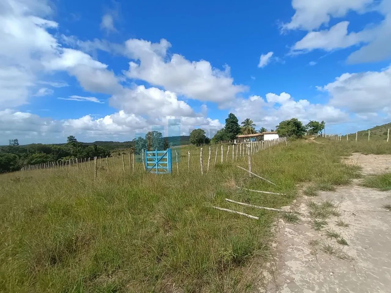 Fazenda com 333 tarefas a 50 km de Aracaju no Povoado Nova Estância  - Foto 4