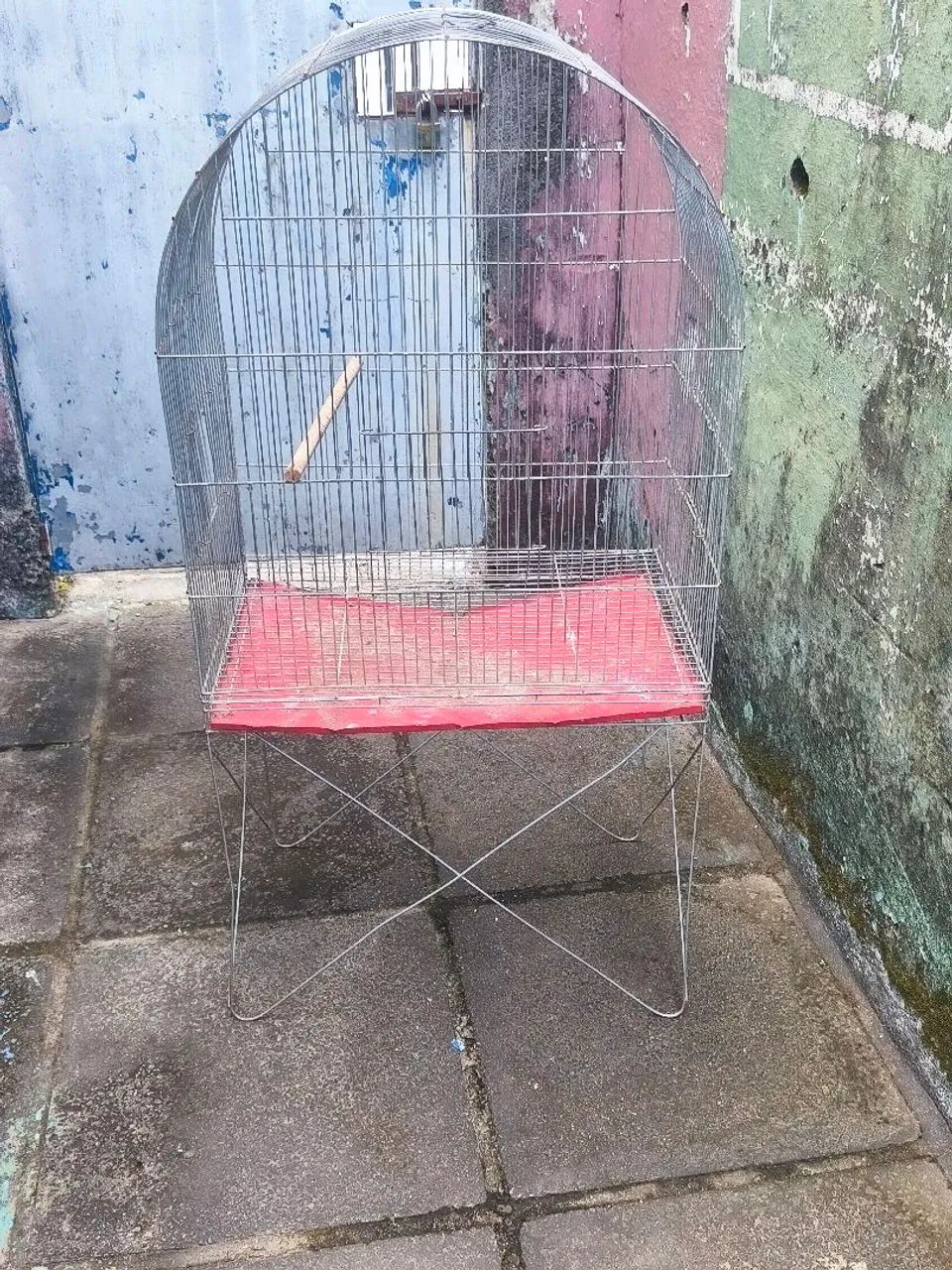 gaiola para calopsita  - Foto 4