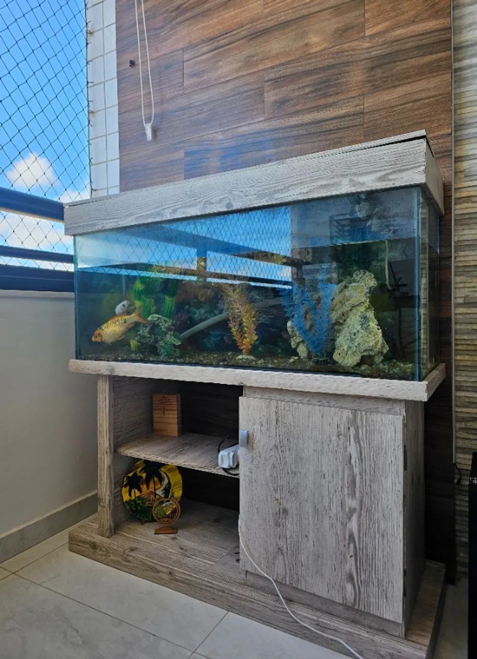 Aquario - Foto 4