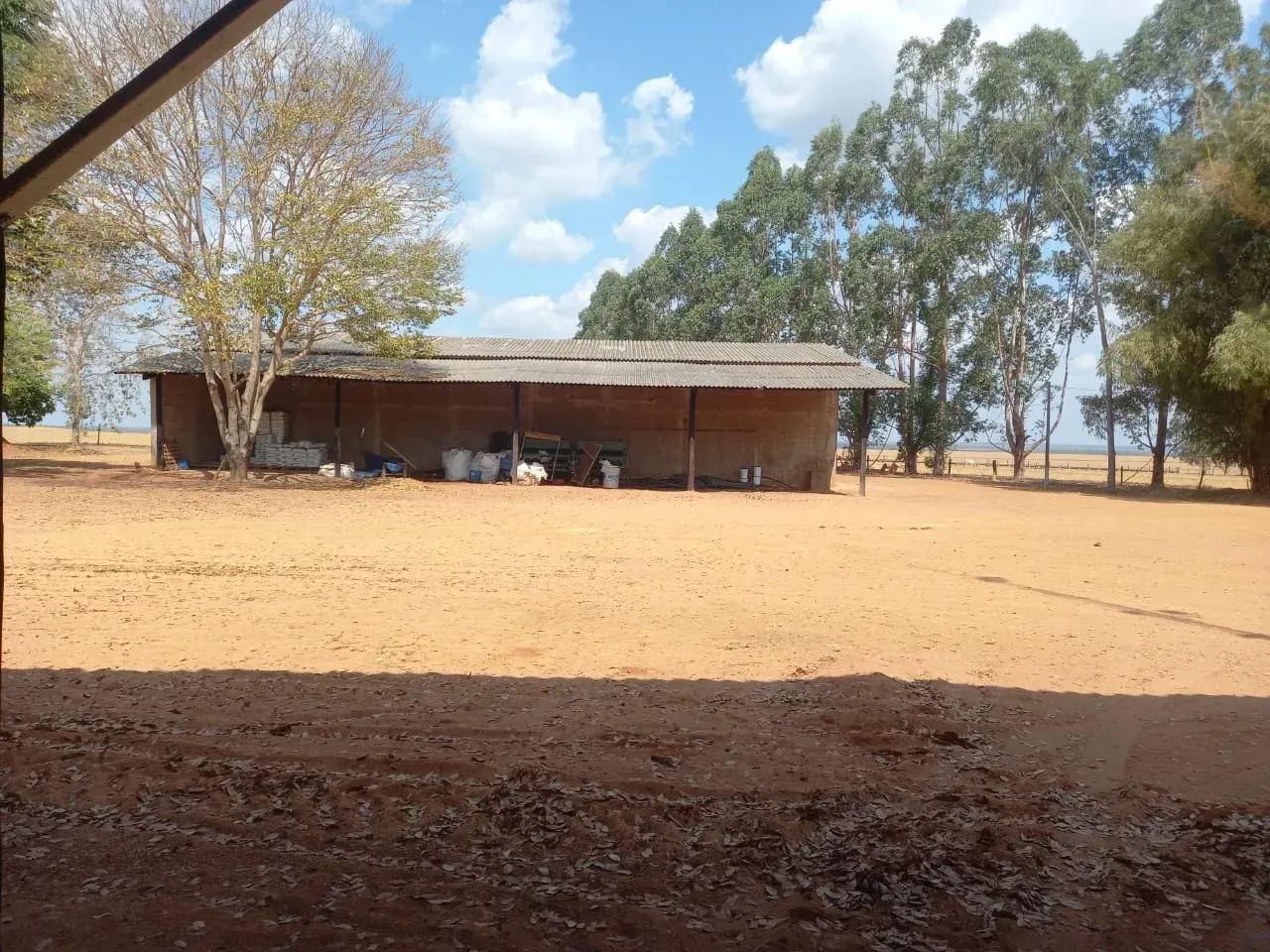 Fazenda a venda em Colinas do Tocantins!!! - Foto 5