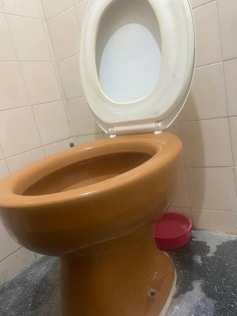 Vaso sanitário convencional  - Foto 2