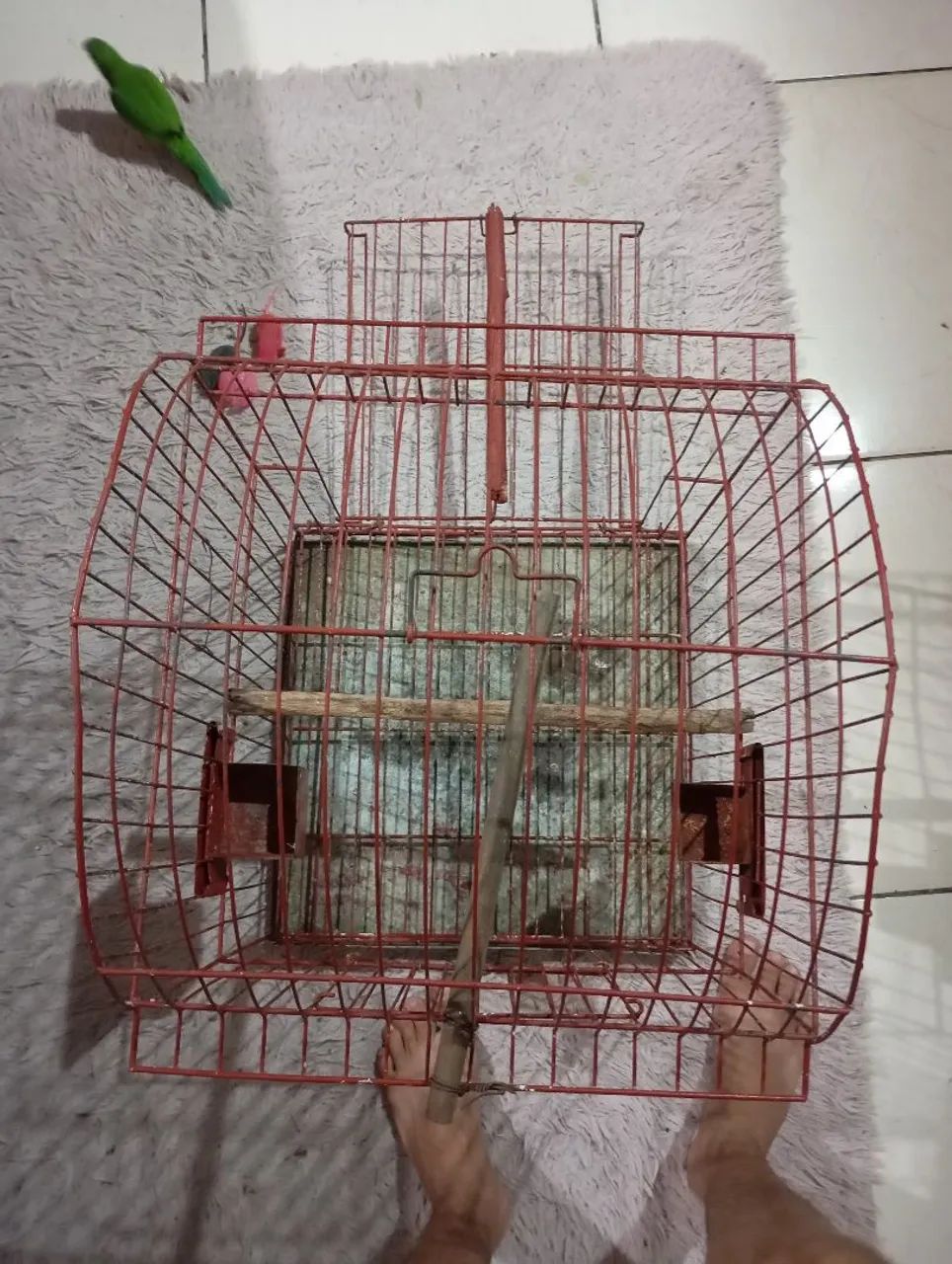 Gaiola para Papagaio  - Foto 2