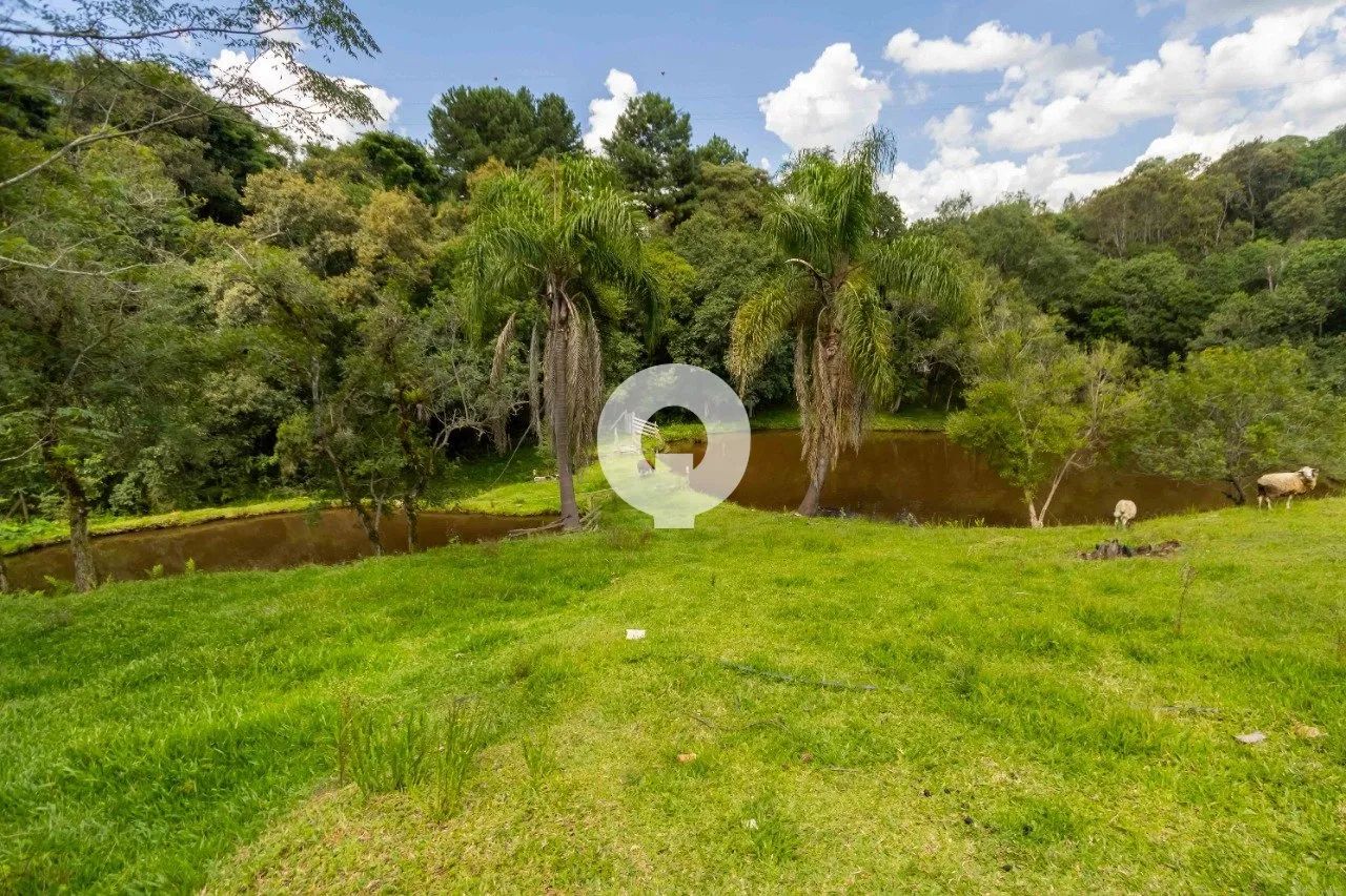 CHÁCARA À VENDA EM MANDIRITUBA - Foto 2