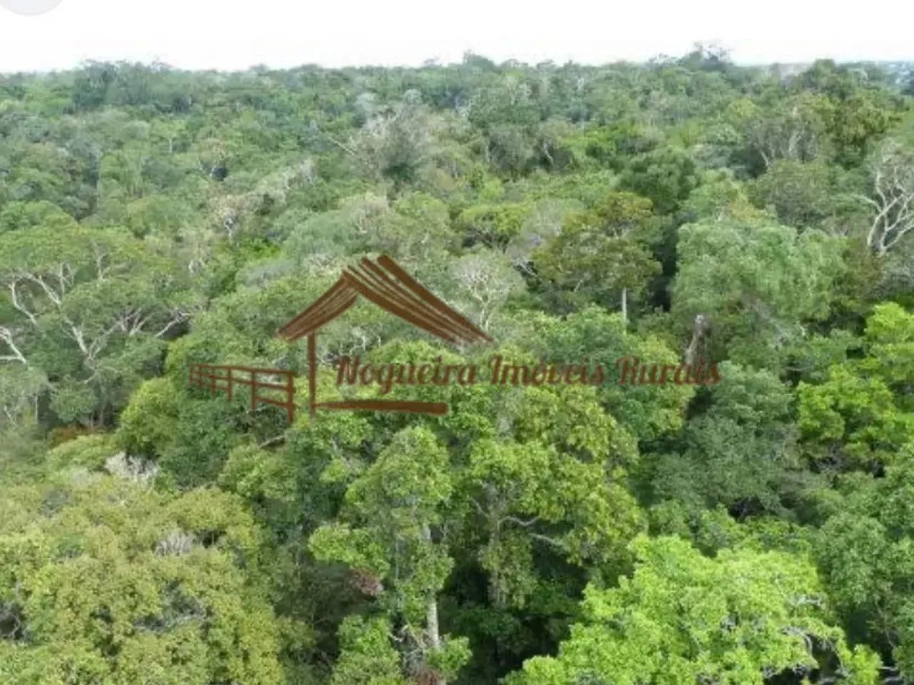 Fazenda com 320 alqueires com mata para reserva ambiental. - Foto 2