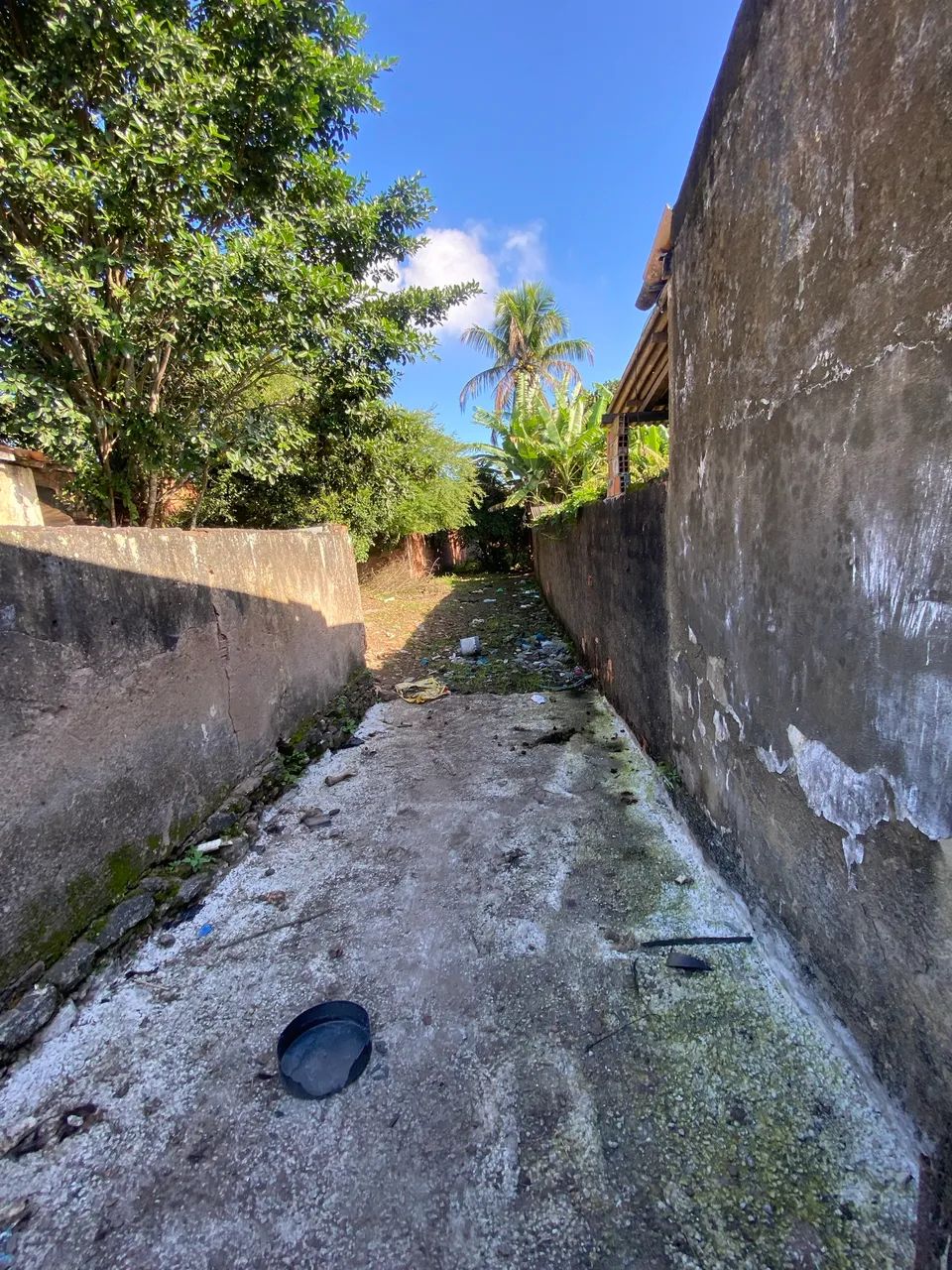 VENDE-SE TERRENO EM PEDRA BRANCA - Foto 3