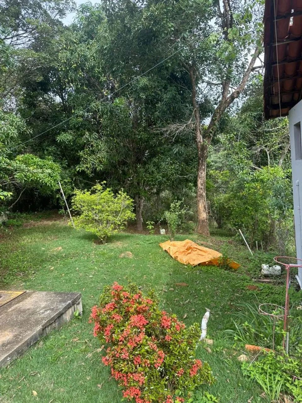 Lindo Sítio Morada da Serra  - Foto 2