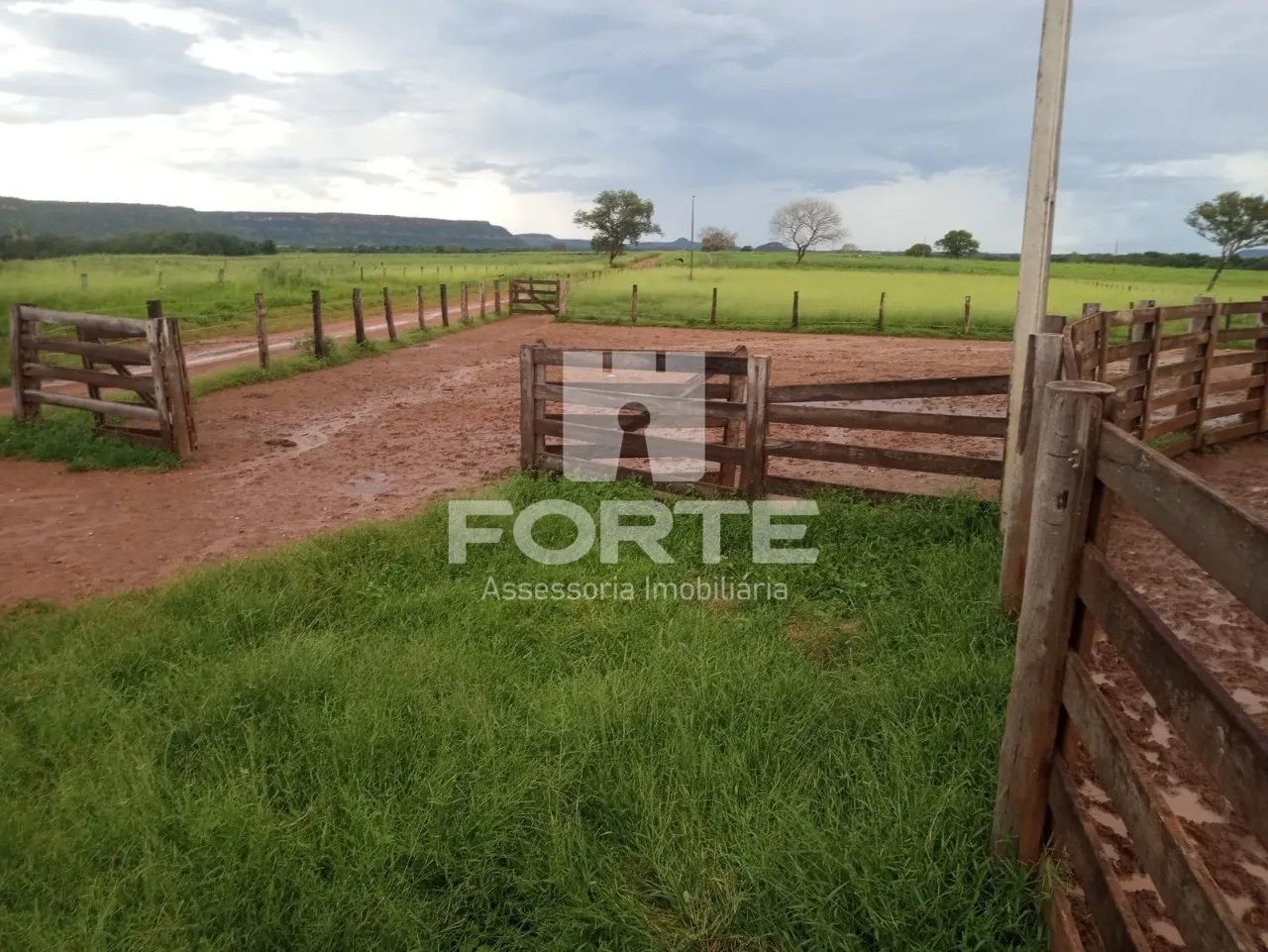 Fazenda a venda em Goiatins no Tocantins - Foto 5