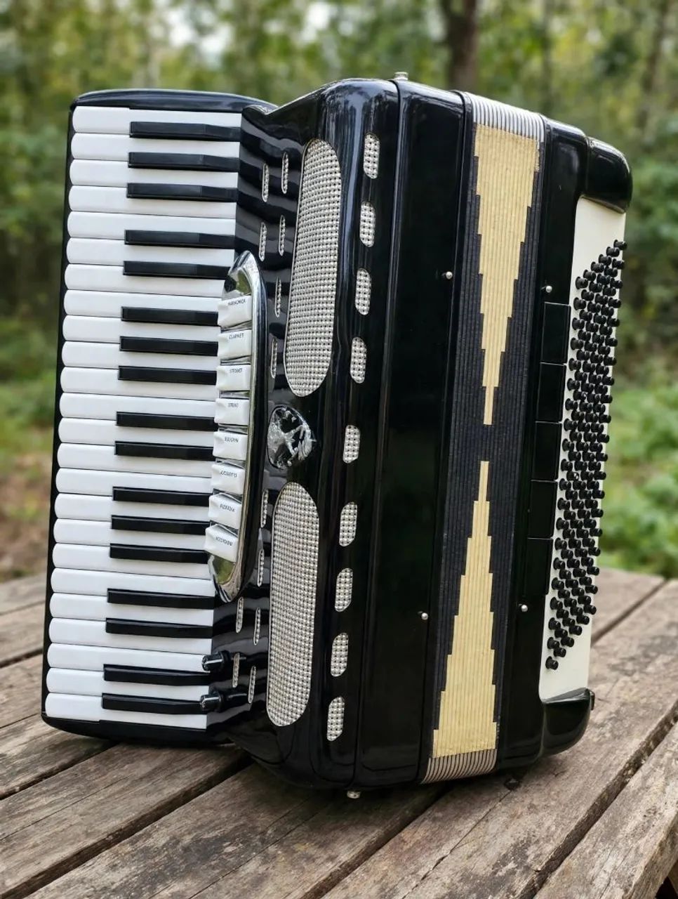 Acordeon oitavado 120