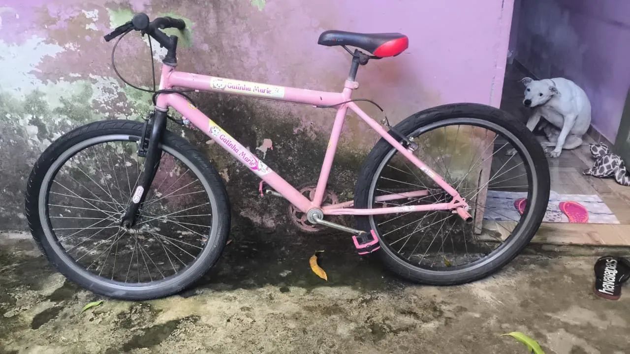 Bicicleta rosa (leia o anúncio)