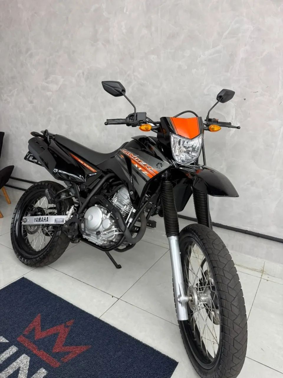 LANDER 250 - Foto 3
