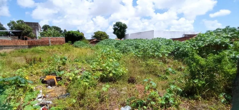 Terreno em rua pública, no Bairro América. (Vizinho a empresa Limpa fossa Moderna) - Foto 8