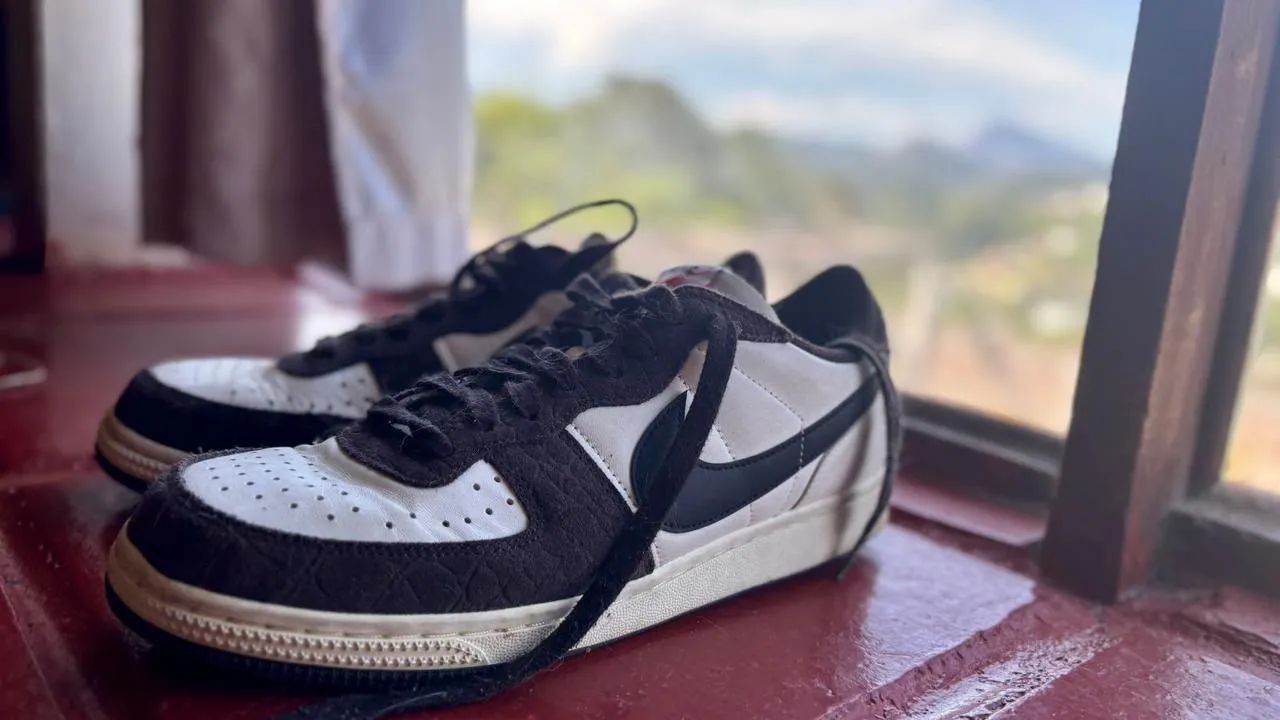 Dunk Terminator Low Velvet Brown