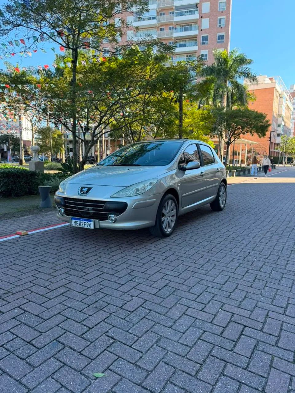 Peugeot 307 2010