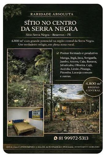 SÍTIO NO CENTRO DE SERRA NEGRA - BEZERROS/PE - Foto 4
