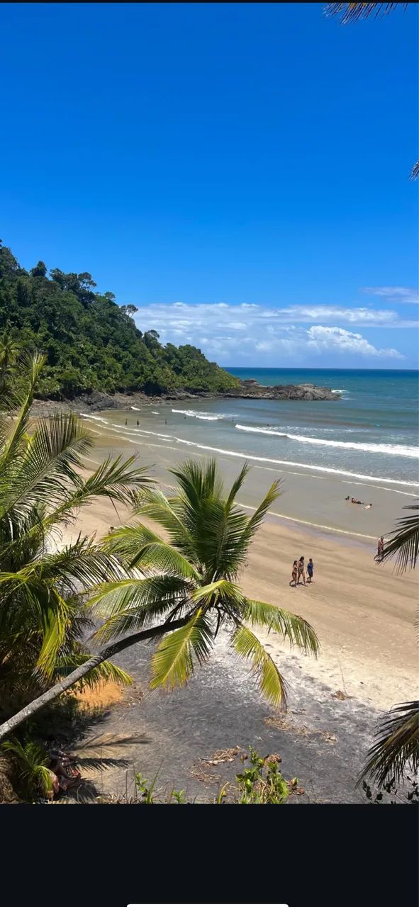 Vendo Lotes Com escritura de 500 a 800 m2 Itacaré Ba  - Foto 5
