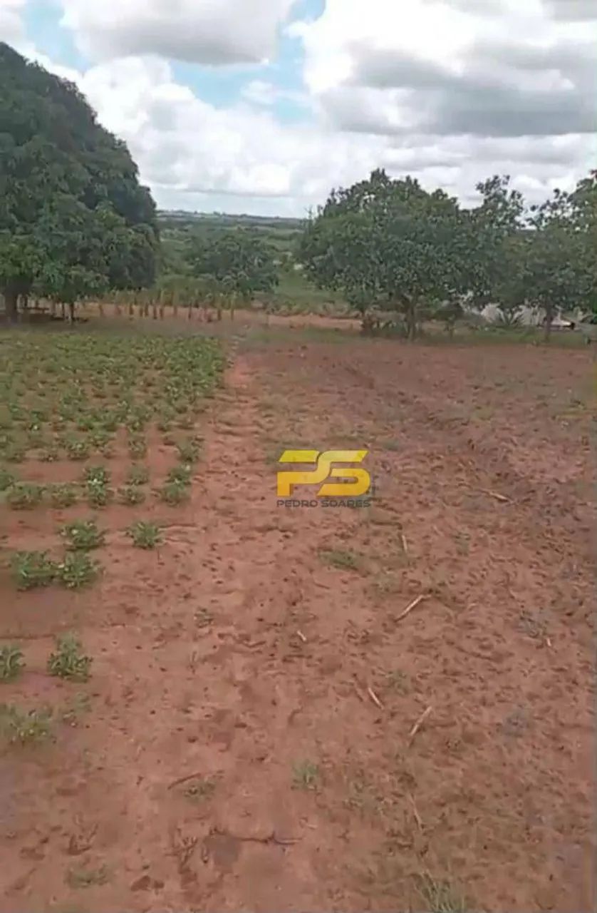 SÍTIO À VENDA  RIACHÃO DO POÇO (PRÓXIMO A SAPÉ/PB - Foto 5