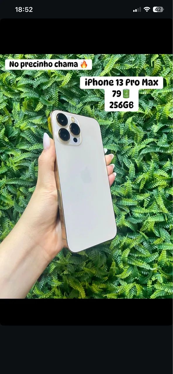 iPhone 13 Pro Max 