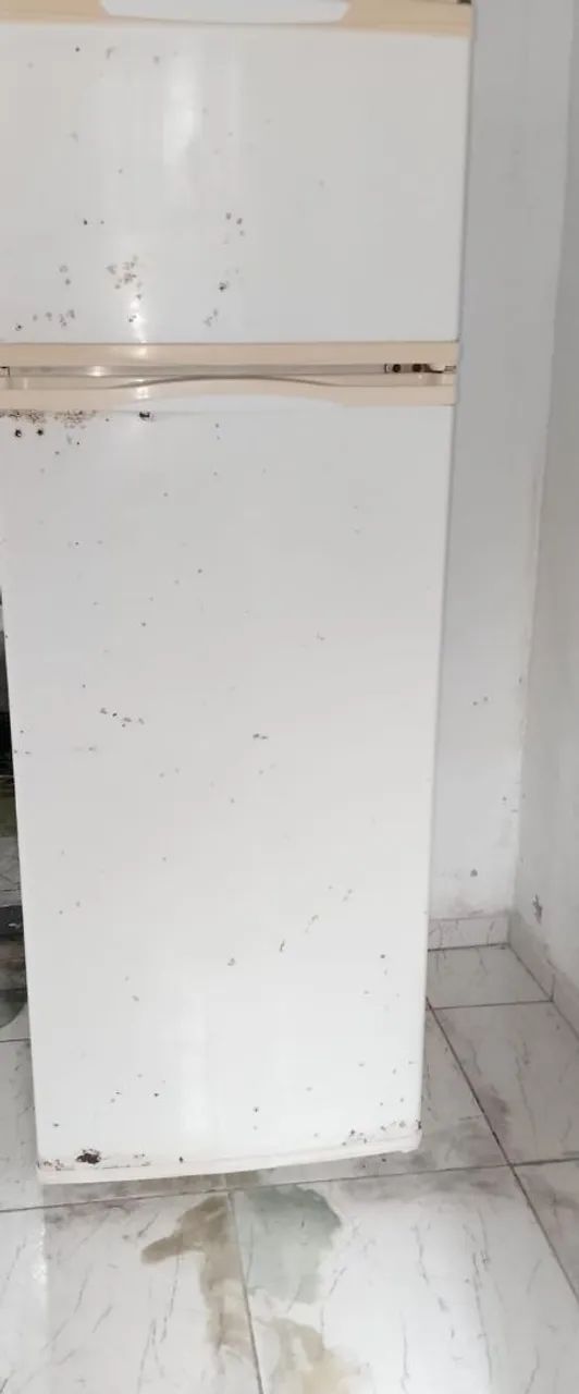 Vendo geladeira funcionando perfeitamente